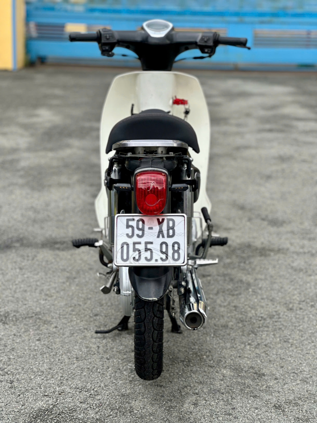 CUP 50CC BS 59XB-05598