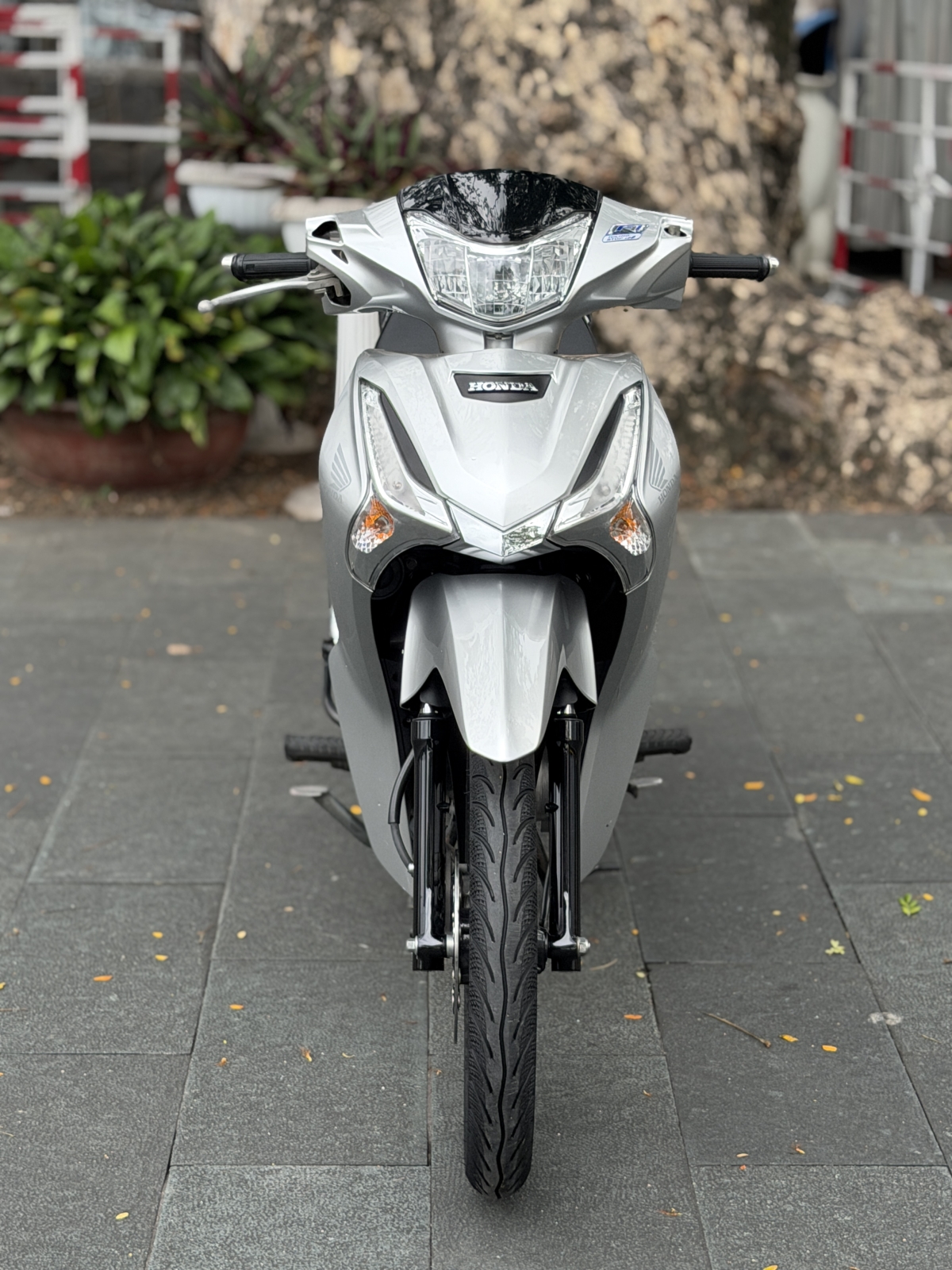 HONDA FUTURE 2023 BẠC BS 59X4 19452