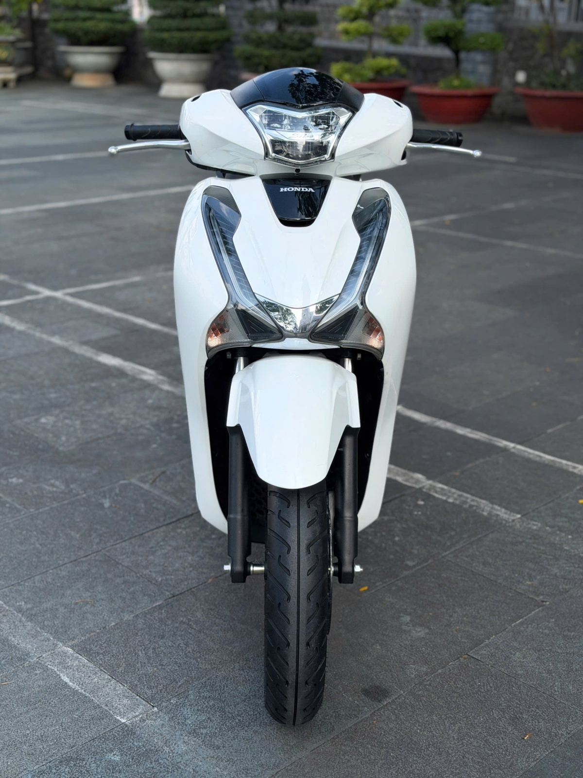 SH 125 2017 TRẮNG SPORTY BS 59U1 97873