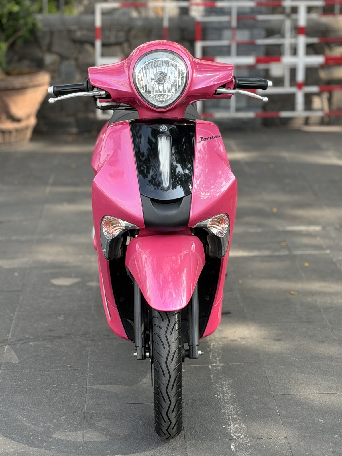 JANUS 2018 KHOÁ SMK BS 50Y1 29960