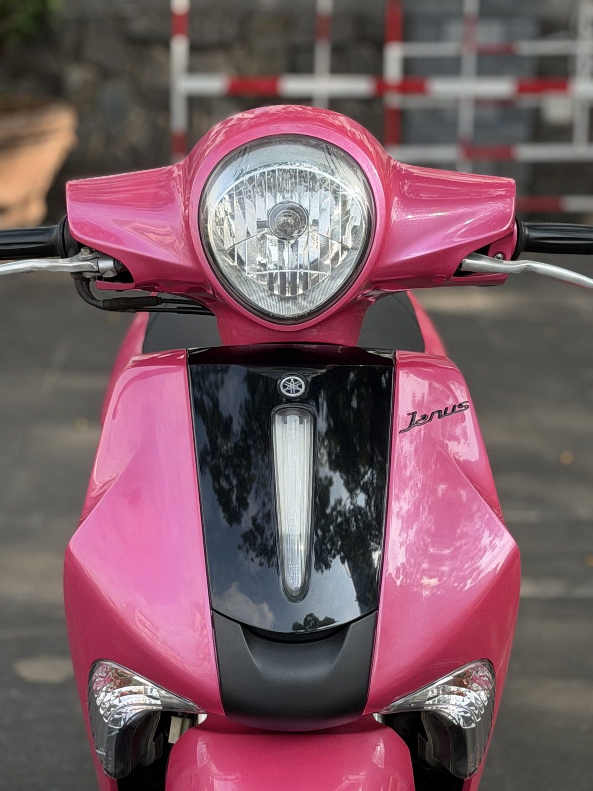 JANUS 2018 KHOÁ SMK BS 50Y1 29960
