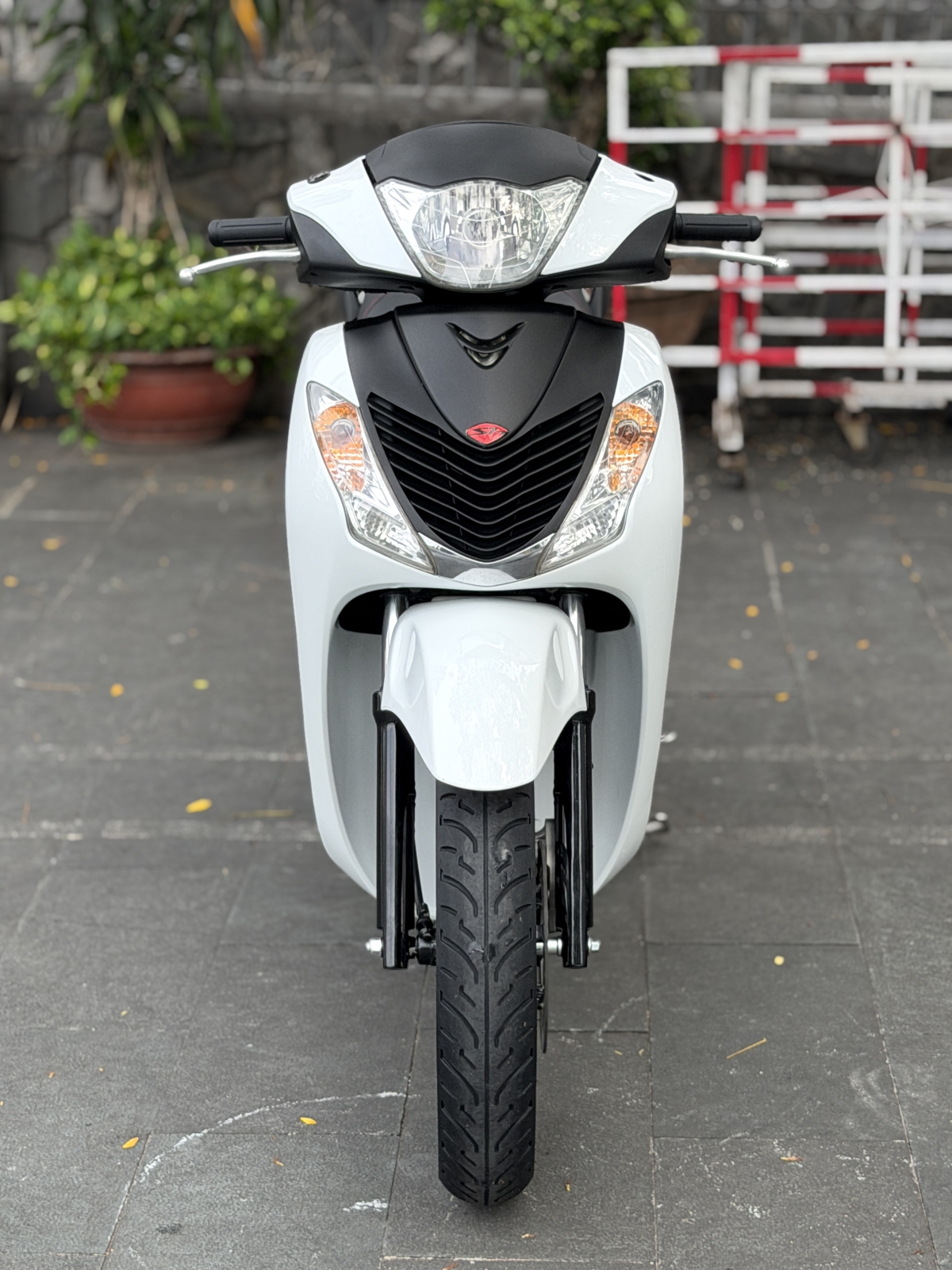 SH 150 FORM Ý ( HÀNG 3 CỤC 5006) CHÍNH CHỦ BS 59U1 10882